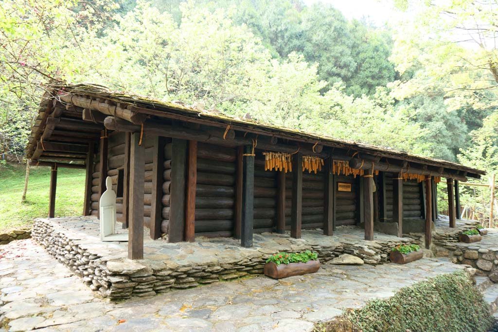 �ʐ^,�f��,����,�t���[,�t�H�g,�N���G�C�e�B�u�E�R�����Y,���i,�ǎ�,�㑰������, , , , 