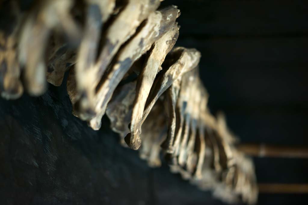 �ʐ^,�f��,����,�t���[,�t�H�g,�N���G�C�e�B�u�E�R�����Y,���i,�ǎ�,�㑰������, , , , 