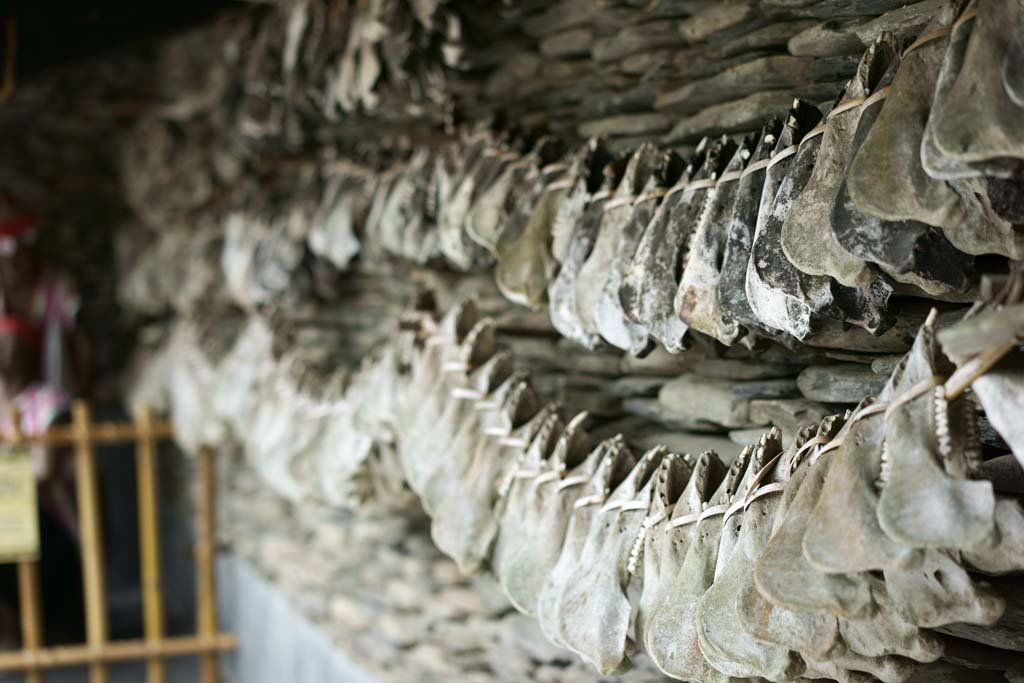 �ʐ^,�f��,����,�t���[,�t�H�g,�N���G�C�e�B�u�E�R�����Y,���i,�ǎ�,�㑰������, , , , 