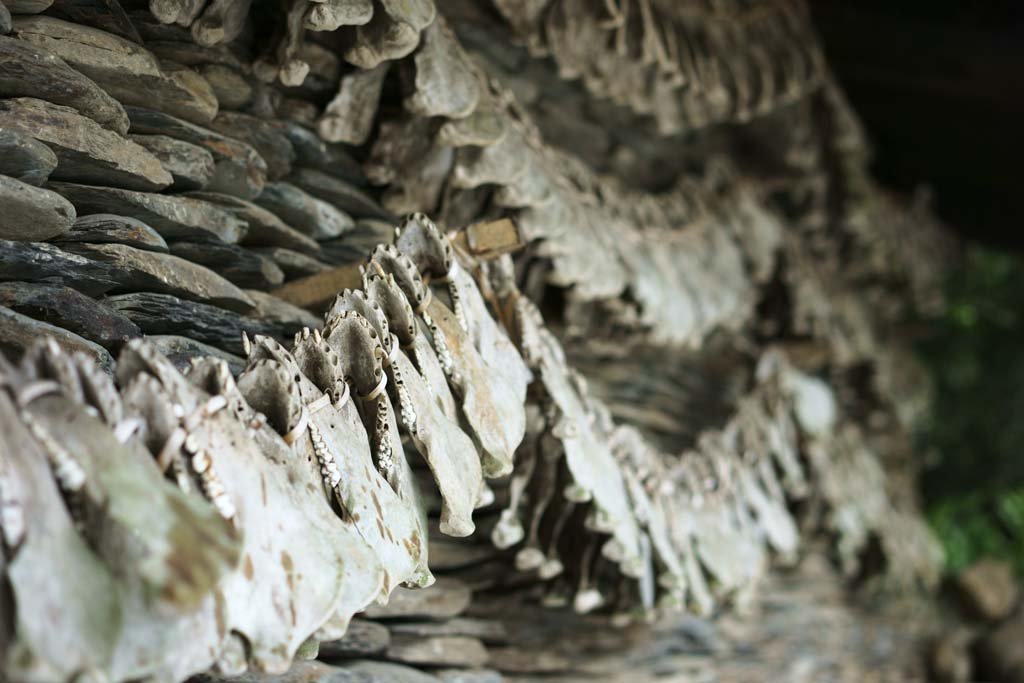 �ʐ^,�f��,����,�t���[,�t�H�g,�N���G�C�e�B�u�E�R�����Y,���i,�ǎ�,�㑰������, , , , 