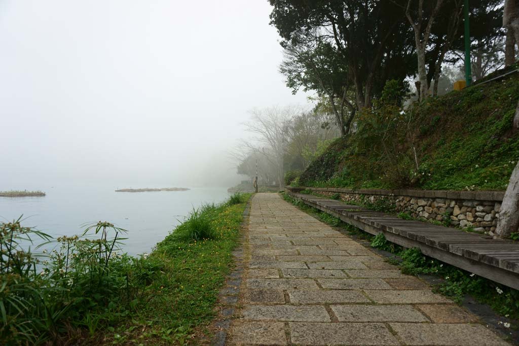 �ʐ^,�f��,����,�t���[,�t�H�g,�N���G�C�e�B�u�E�R�����Y,���i,�ǎ�,�����̓����K, , , , 