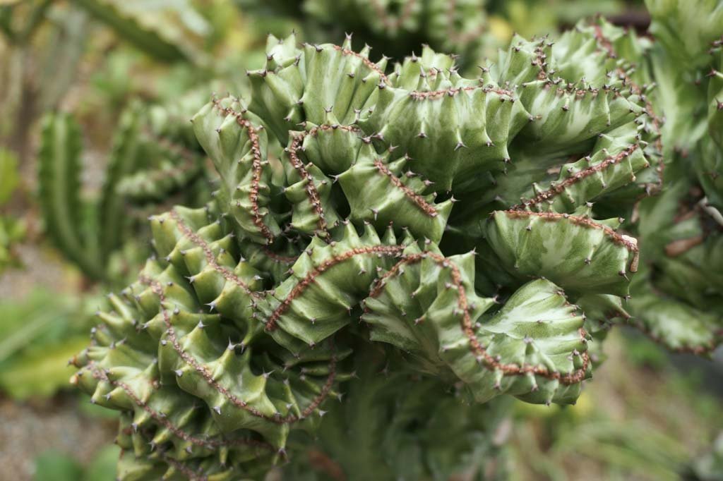 �ʐ^,�f��,����,�t���[,�t�H�g,�N���G�C�e�B�u�E�R�����Y,���i,�ǎ�,�����A��, , , , 