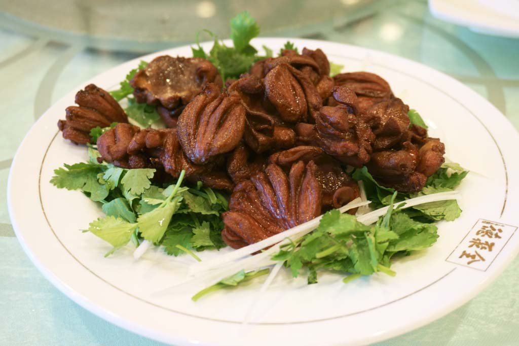 �ʐ^,�f��,����,�t���[,�t�H�g,�N���G�C�e�B�u�E�R�����Y,���i,�ǎ�,�{�̗g������, , , , 