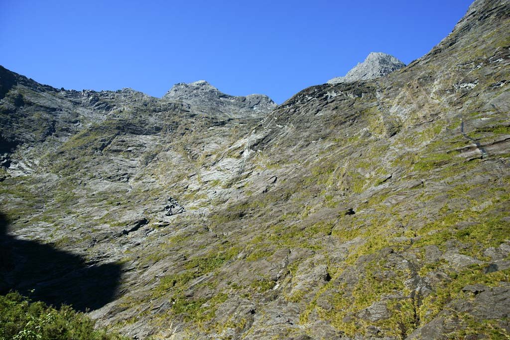 �ʐ^,�f��,����,�t���[,�t�H�g,�N���G�C�e�B�u�E�R�����Y,���i,�ǎ�,�t�B�I�[�h�����h, , , , 