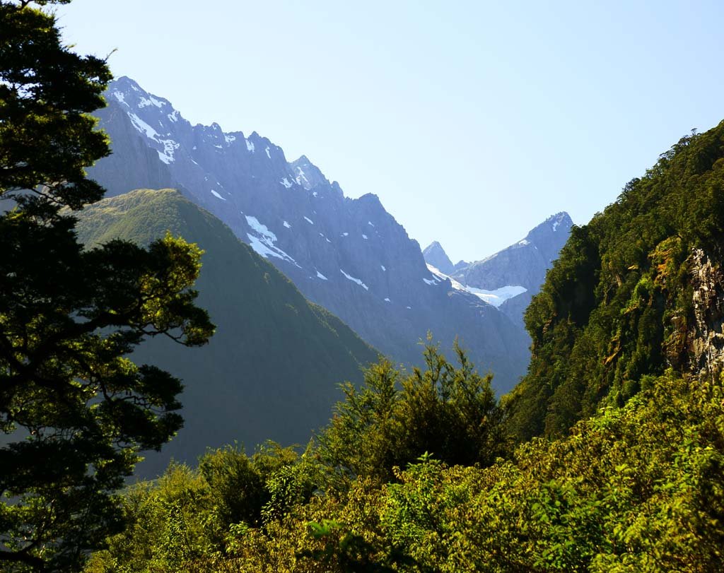 �ʐ^,�f��,����,�t���[,�t�H�g,�N���G�C�e�B�u�E�R�����Y,���i,�ǎ�,�t�B�I�[�h�����h, , , , 