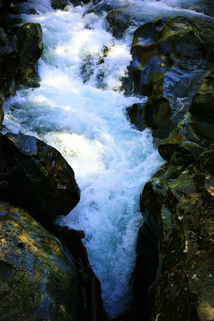 �ʐ^,�f��,����,�t���[,�t�H�g,�N���G�C�e�B�u�E�R�����Y,���i,�ǎ�,�k�J, , , , 