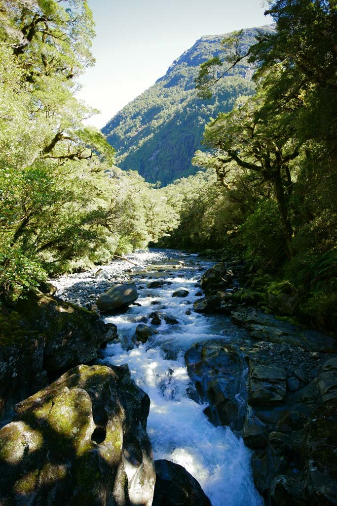 �ʐ^,�f��,����,�t���[,�t�H�g,�N���G�C�e�B�u�E�R�����Y,���i,�ǎ�,�k�J, , , , 