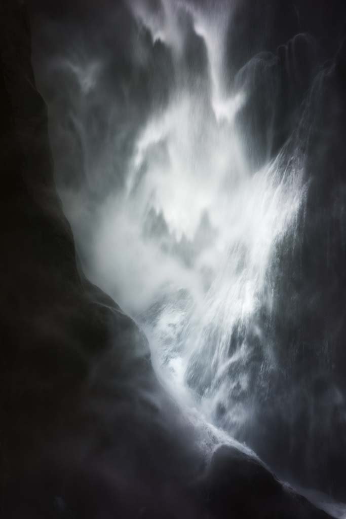 �ʐ^,�f��,����,�t���[,�t�H�g,�N���G�C�e�B�u�E�R�����Y,���i,�ǎ�,�~���t�H�[�h�T�E���h�@�X�^�[������, �t�B�����h, Piopiotahi, , 