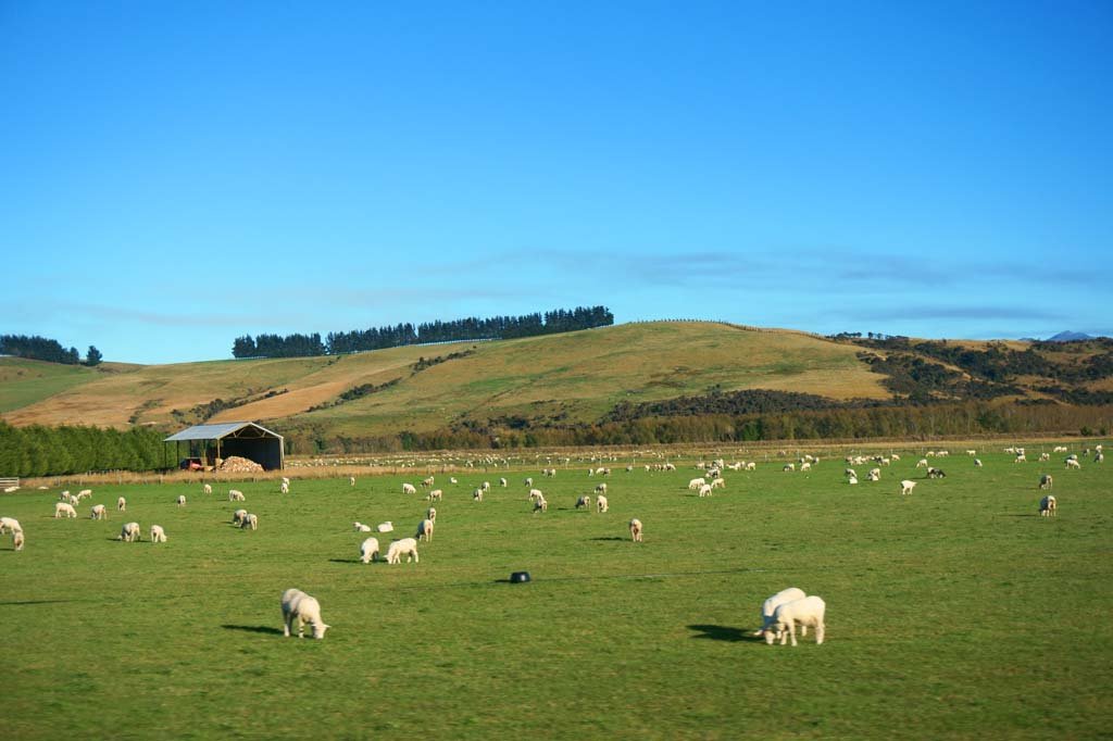 �ʐ^,�f��,����,�t���[,�t�H�g,�N���G�C�e�B�u�E�R�����Y,���i,�ǎ�,�N�C�[���Y�^�E��, , , , 