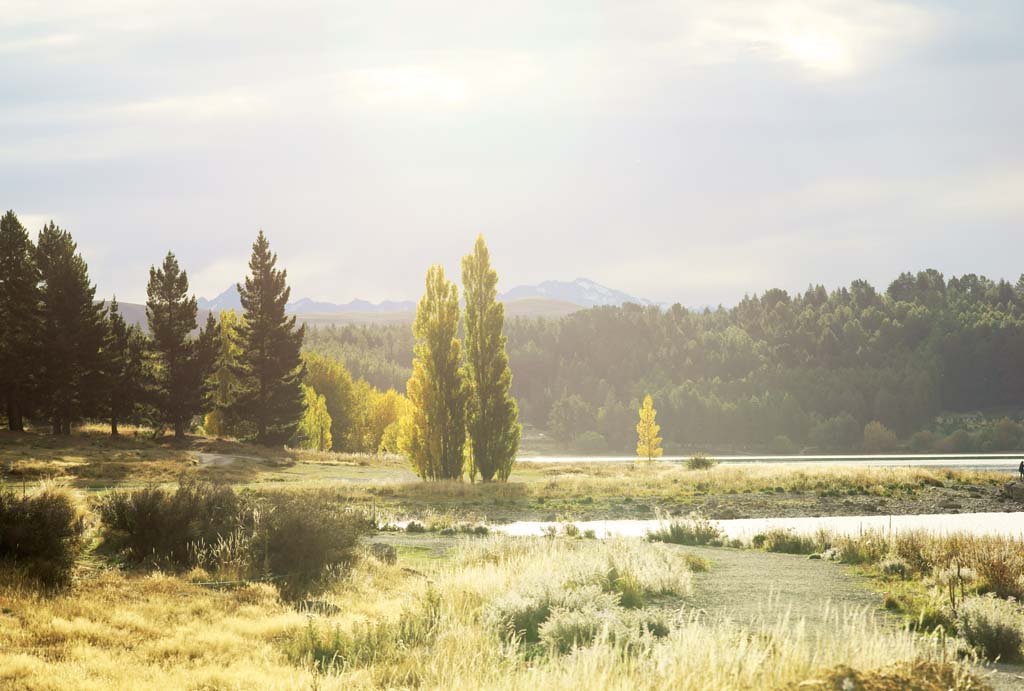 �ʐ^,�f��,����,�t���[,�t�H�g,�N���G�C�e�B�u�E�R�����Y,���i,�ǎ�,�K���ɕ�܂ꂽ�Ȃ�, , , , 