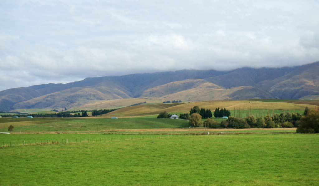 �ʐ^,�f��,����,�t���[,�t�H�g,�N���G�C�e�B�u�E�R�����Y,���i,�ǎ�,�q��, , , , 