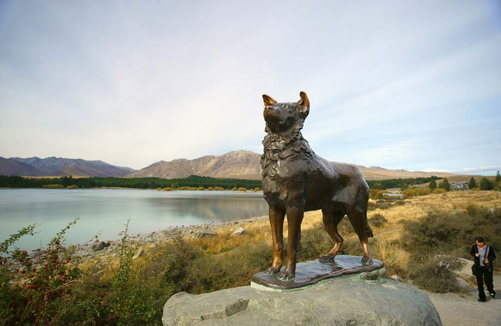 �ʐ^,�f��,����,�t���[,�t�H�g,�N���G�C�e�B�u�E�R�����Y,���i,�ǎ�,�q�r��, , , , 