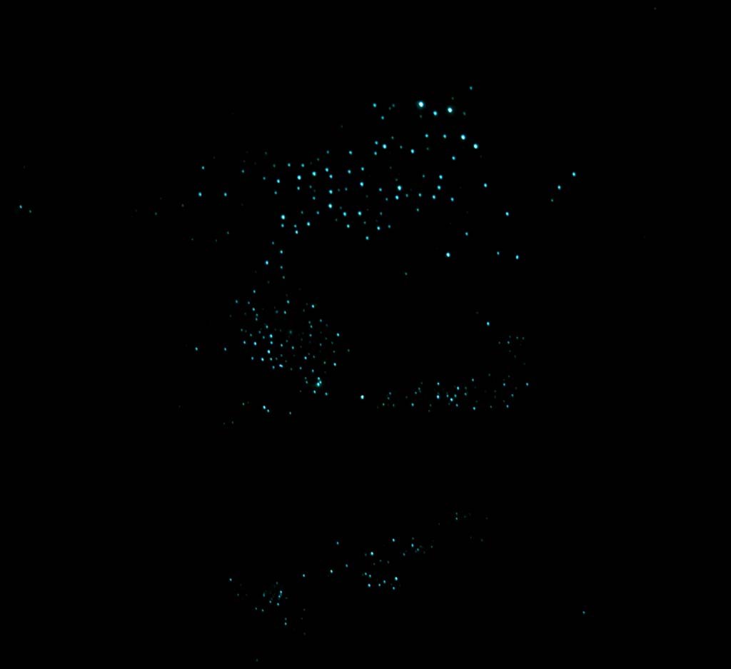 �ʐ^,�f��,����,�t���[,�t�H�g,�N���G�C�e�B�u�E�R�����Y,���i,�ǎ�,�y�{�^��, , , , 