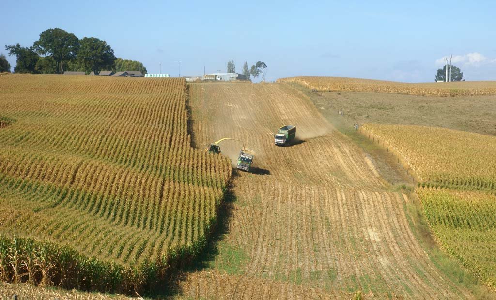 �ʐ^,�f��,����,�t���[,�t�H�g,�N���G�C�e�B�u�E�R�����Y,���i,�ǎ�,���n���, , , , 