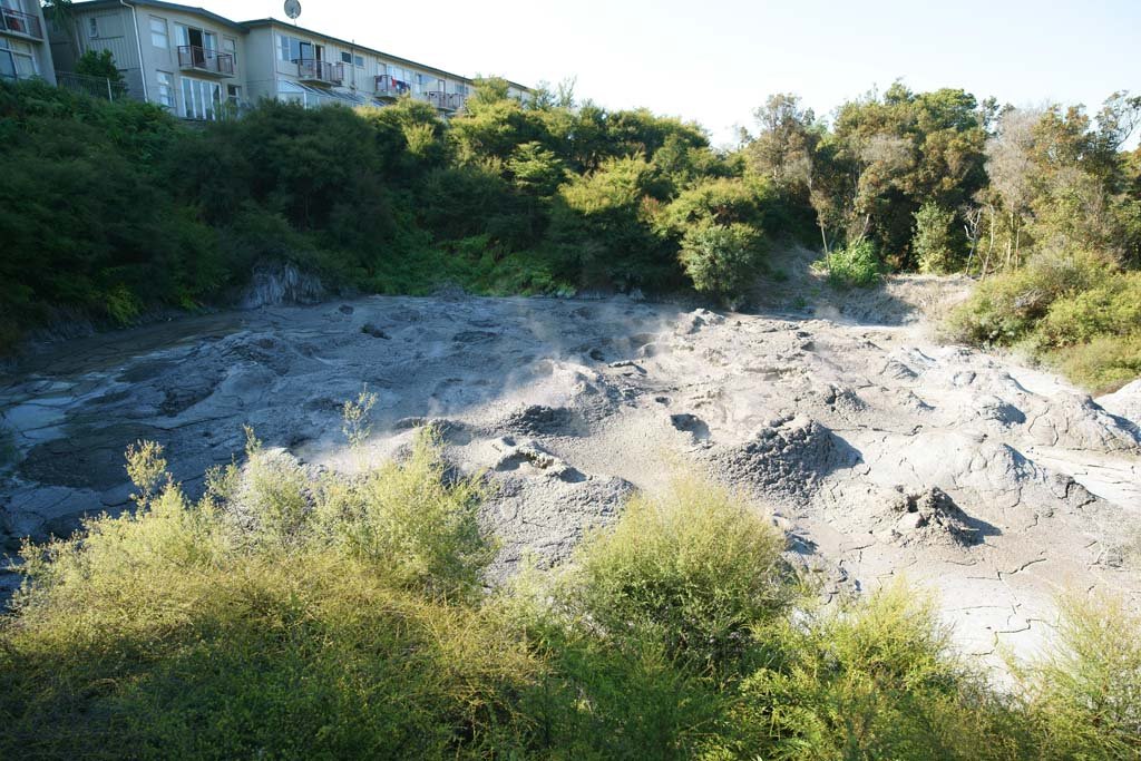 �ʐ^,�f��,����,�t���[,�t�H�g,�N���G�C�e�B�u�E�R�����Y,���i,�ǎ�,�Ԍ���|�t�c�E�K�C�U�[, , , , 