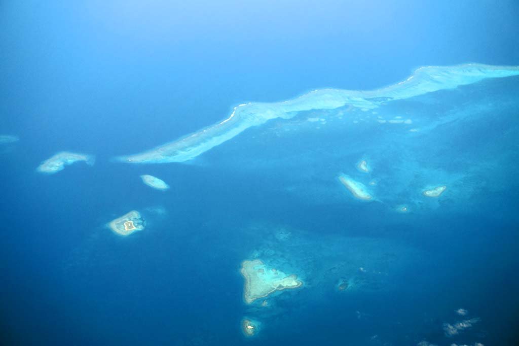 �ʐ^,�f��,����,�t���[,�t�H�g,�N���G�C�e�B�u�E�R�����Y,���i,�ǎ�,�j���[�J���h�j�A�̃T���S��, Amedee Lighthouse, , , 