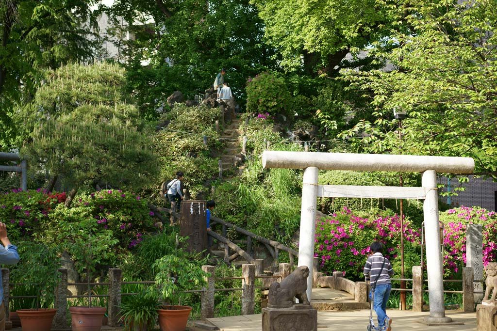 �ʐ^,�f��,����,�t���[,�t�H�g,�N���G�C�e�B�u�E�R�����Y,���i,�ǎ�,��ʃ��J�̕x�m��, , , , 