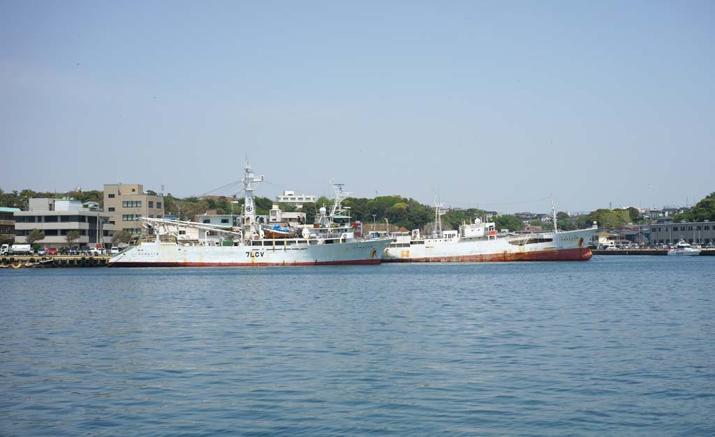 �ʐ^,�f��,����,�t���[,�t�H�g,�N���G�C�e�B�u�E�R�����Y,���i,�ǎ�,�O��`, , , , 