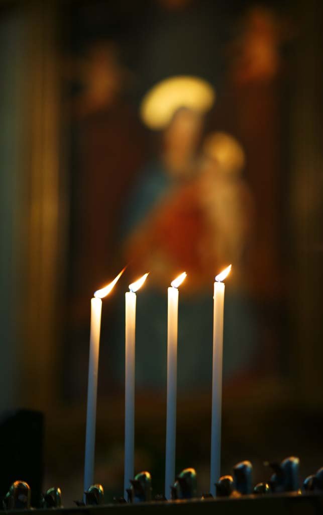 �ʐ^,�f��,����,�t���[,�t�H�g,�N���G�C�e�B�u�E�R�����Y,���i,�ǎ�,�~���m�̃h�D�I�[��, , , , 