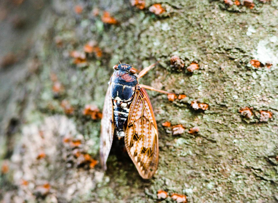 �ʐ^,�f��,����,�t���[,�t�H�g,�N���G�C�e�B�u�E�R�����Y,���i,�ǎ�,�Z�~, �Z�~, ����, ��, ����