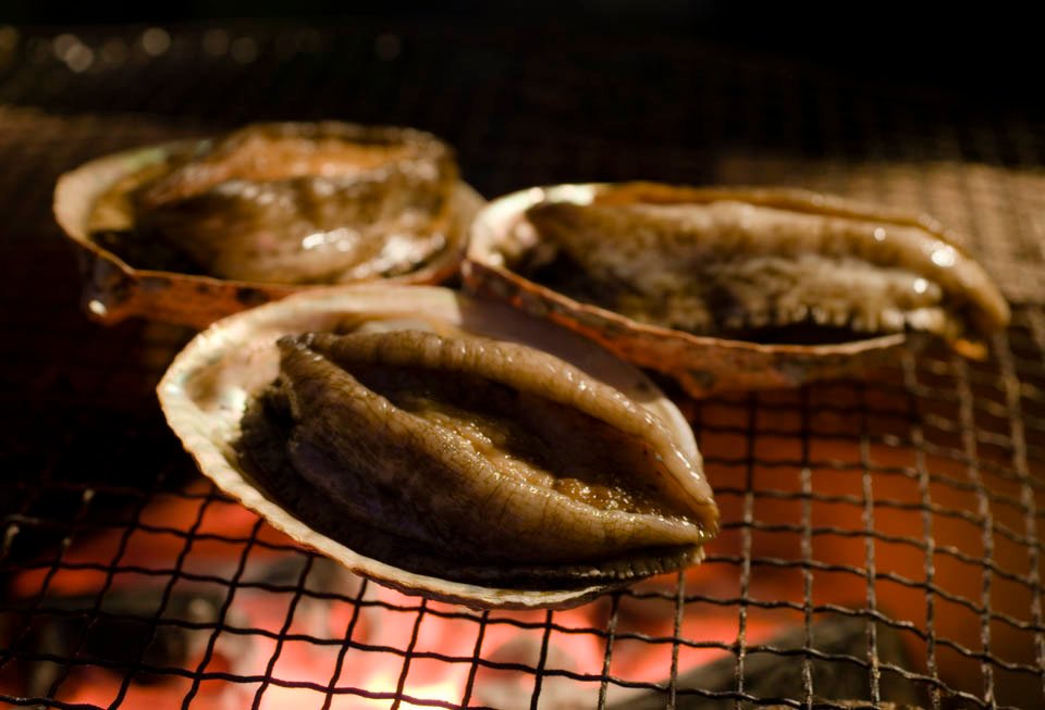 photo,material,free,landscape,picture,stock photo,Creative Commons,The hour of death of an abalone, abalone, , , 