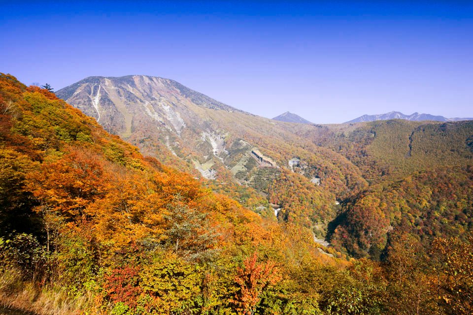 �ʐ^,�f��,����,�t���[,�t�H�g,�N���G�C�e�B�u�E�R�����Y,���i,�ǎ�,�����j�̎R, �R, ���݂�, ��, �┧