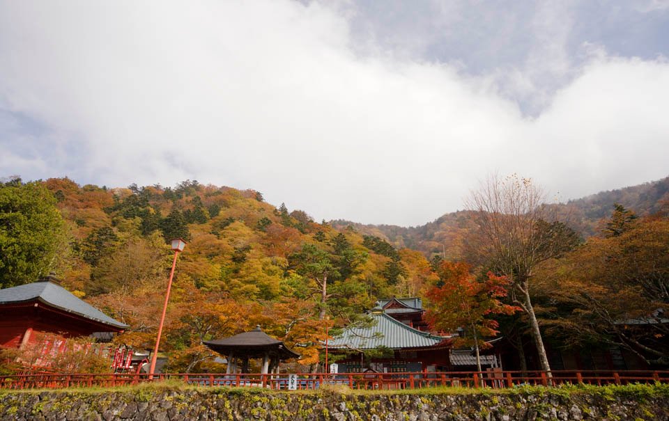 photo,material,free,landscape,picture,stock photo,Creative Commons,A middle temple belonging to the Zen sect, Maple, Buddhist temple and Shinto shrine, roof, middle temple belonging to the Zen sect