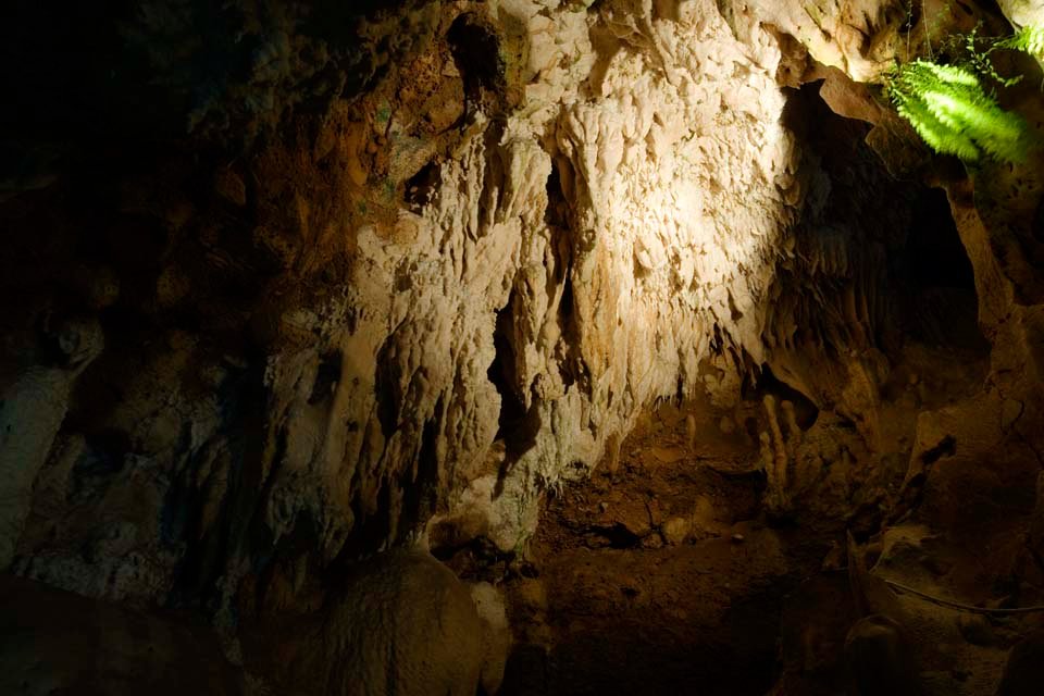 �ʐ^,�f��,����,�t���[,�t�H�g,�N���G�C�e�B�u�E�R�����Y,���i,�ǎ�,�Ί_���ߓ���, �ߓ���, �ߓ���, �ΊD��, ���A