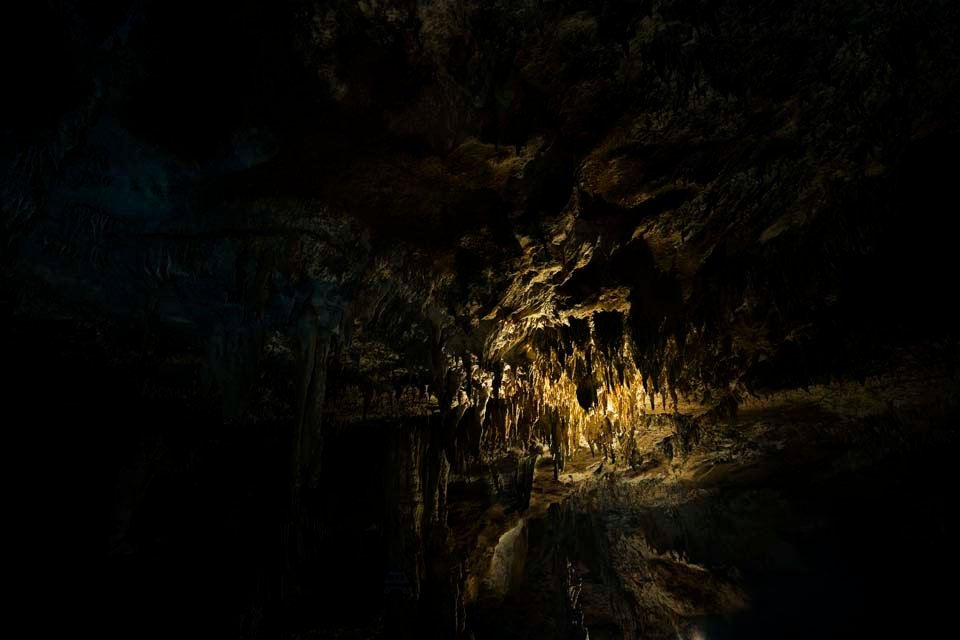 photo,material,free,landscape,picture,stock photo,Creative Commons,Ishigaki-jima Island stalactite cave, stalactite cave, Stalactite, Limestone, cave