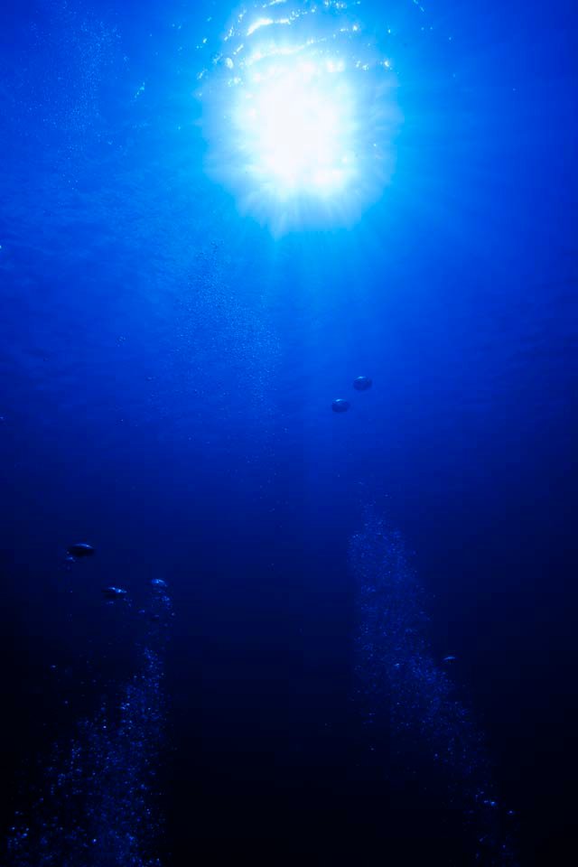 �ʐ^,�f��,����,�t���[,�t�H�g,�N���G�C�e�B�u�E�R�����Y,���i,�ǎ�,�h��߂����z�ւ̑z��, ���z, ����, �A, �����ʐ^