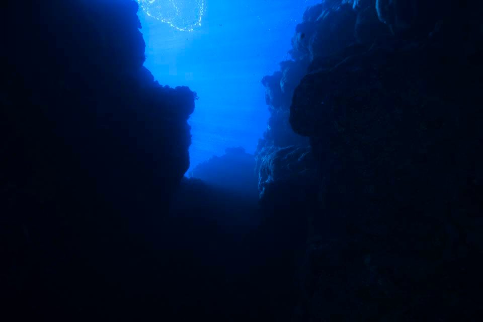 photo,material,free,landscape,picture,stock photo,Creative Commons,An underwater gorge, rock, Sunlight, Blue, underwater photograph