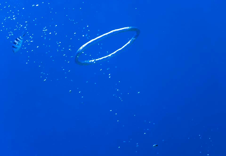 photo,material,free,landscape,picture,stock photo,Creative Commons,A bubble ring, bubble, Foam, Circle, ring