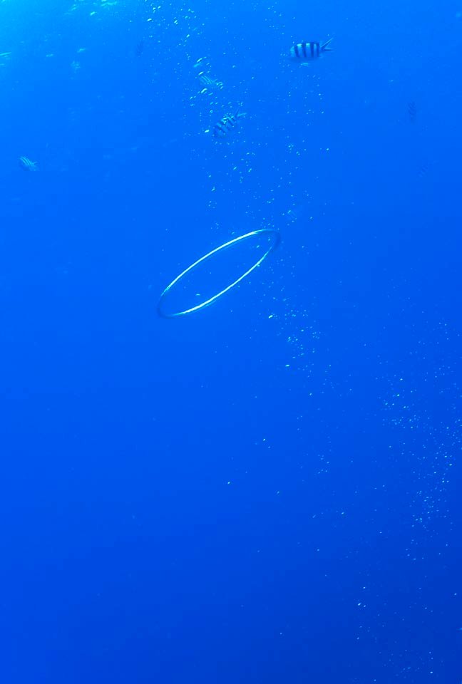 photo,material,free,landscape,picture,stock photo,Creative Commons,A bubble ring, bubble, Foam, Circle, ring