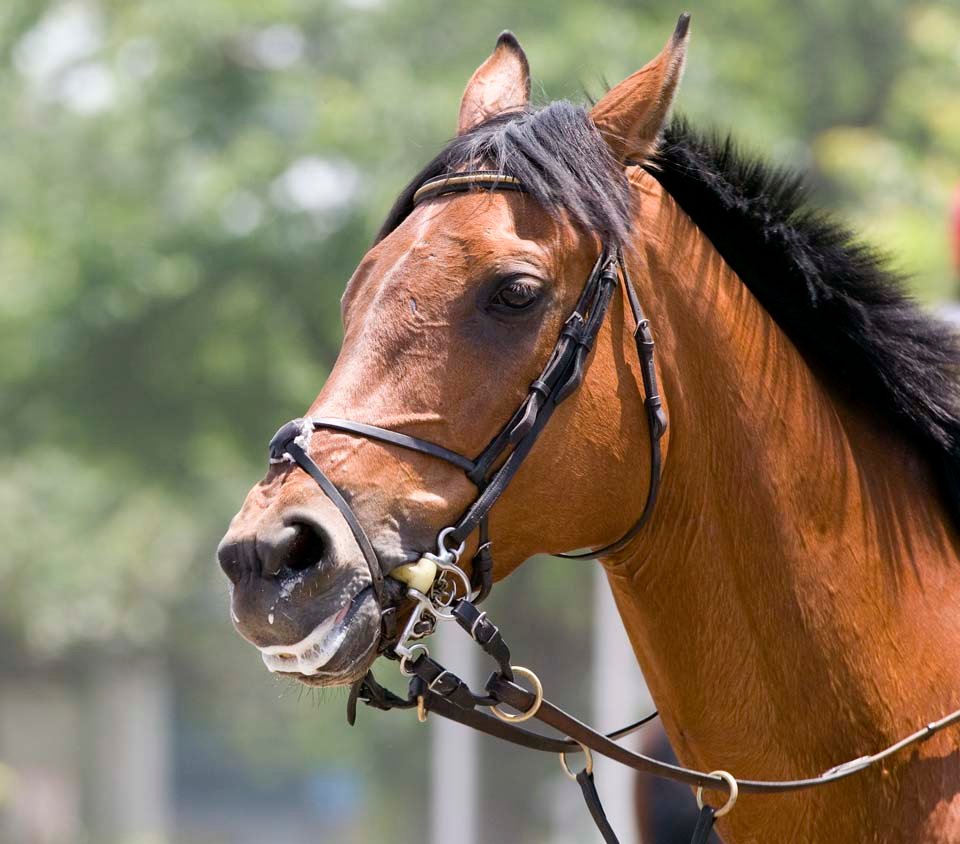 �ʐ^,�f��,����,�t���[,�t�H�g,�N���G�C�e�B�u�E�R�����Y,���i,�ǎ�,�n�̋C��, �n, �, ���Ă���, �ѕ�