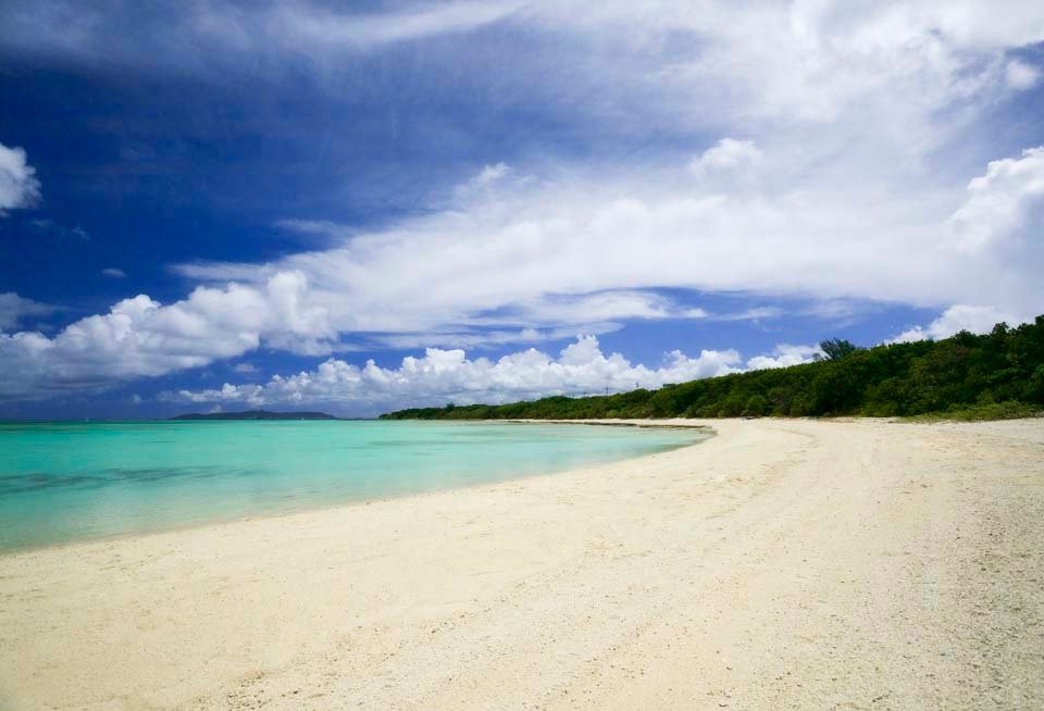 �ʐ^,�f��,����,�t���[,�t�H�g,�N���G�C�e�B�u�E�R�����Y,���i,�ǎ�,�썑�r�[�`, ���l, ��, �r�[�`, �_