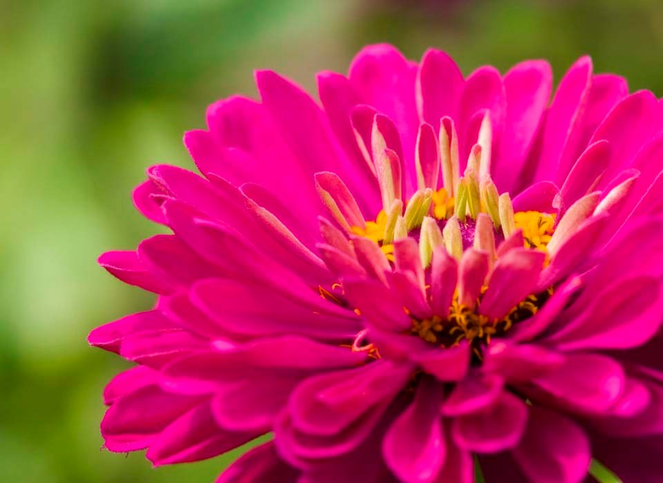 �ʐ^,�f��,����,�t���[,�t�H�g,�N���G�C�e�B�u�E�R�����Y,���i,�ǎ�,�S����, �S����, �Ԏ�, �ԕ�, ��