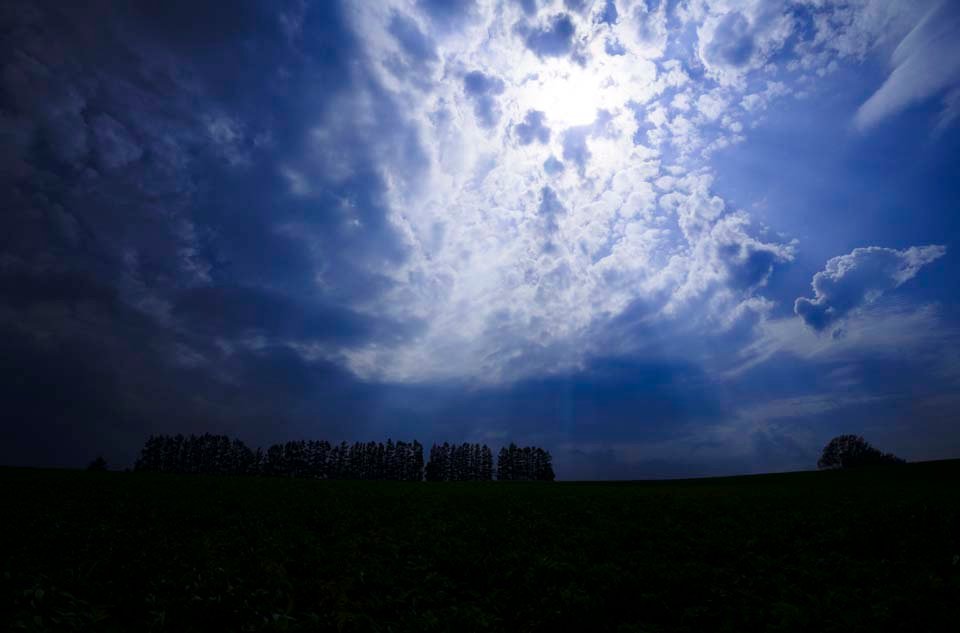 photo,material,free,landscape,picture,stock photo,Creative Commons,Light to pour, cloud, light line, voice of the sky, row of trees