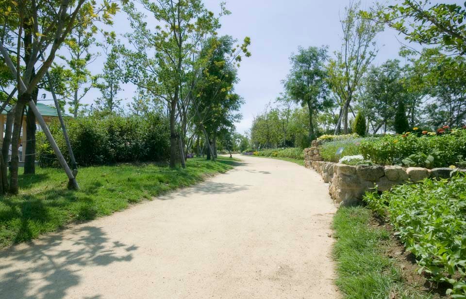 �ʐ^,�f��,����,�t���[,�t�H�g,�N���G�C�e�B�u�E�R�����Y,���i,�ǎ�,�z�̓����铹, ���A, ��, , 