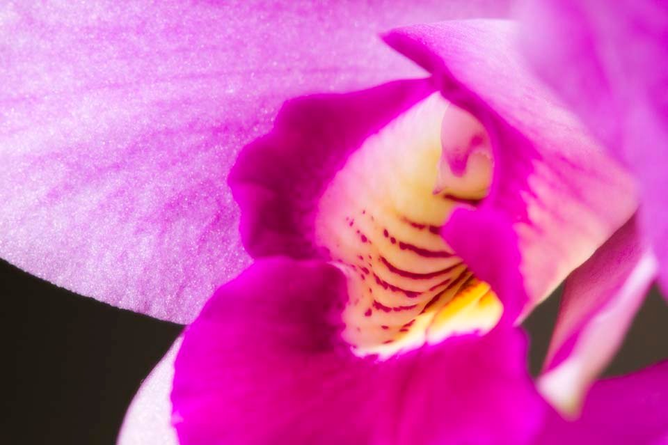 �ʐ^,�f��,����,�t���[,�t�H�g,�N���G�C�e�B�u�E�R�����Y,���i,�ǎ�,�J�g���A�̗U�f, �J�g���A, ���Ƃꂠ, ����, ��