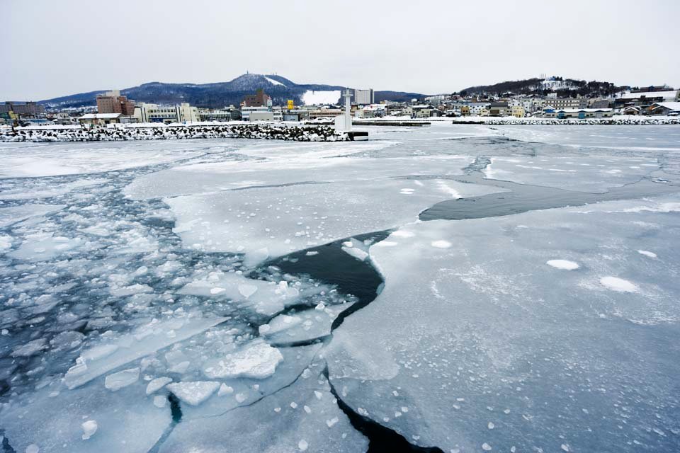 �ʐ^,�f��,����,�t���[,�t�H�g,�N���G�C�e�B�u�E�R�����Y,���i,�ǎ�,�X���̍`, ���X, �X, �`, �C