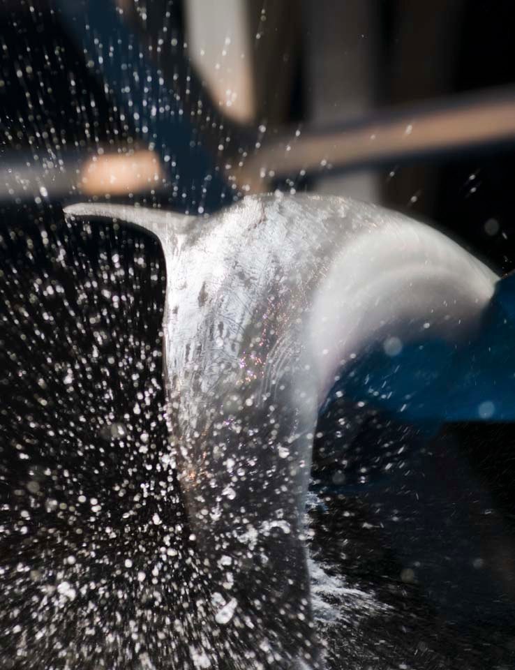 photo,material,free,landscape,picture,stock photo,Creative Commons,A splashing dolphin, dolphin, , , jump