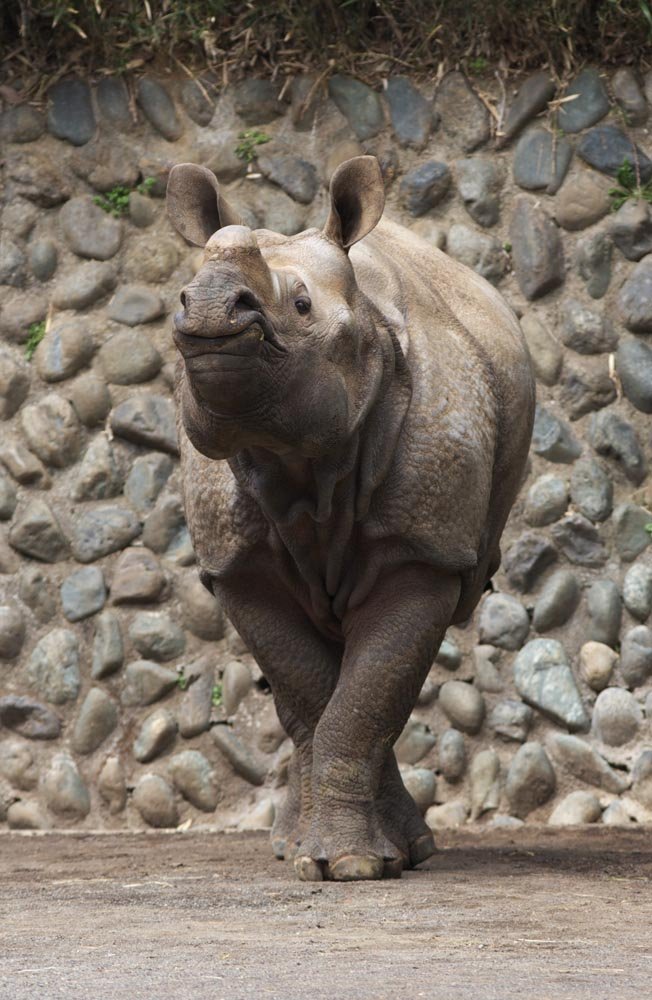 �ʐ^,�f��,����,�t���[,�t�H�g,�N���G�C�e�B�u�E�R�����Y,���i,�ǎ�,�T�C, �T�C, ����, ��, 