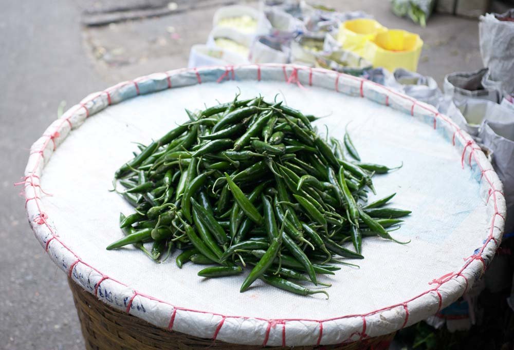 �ʐ^,�f��,����,�t���[,�t�H�g,�N���G�C�e�B�u�E�R�����Y,���i,�ǎ�,�R���蓂�h�q, �Ƃ����炵, �g�E�K���V, ���h�q, �X�p�C�X