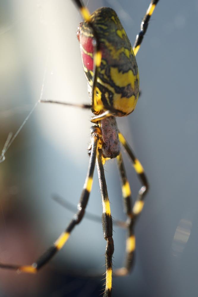 �ʐ^,�f��,����,�t���[,�t�H�g,�N���G�C�e�B�u�E�R�����Y,���i,�ǎ�,�W�����E�O��, ����낤����, �W�����E�O��, ���V�w, ���Y�w�