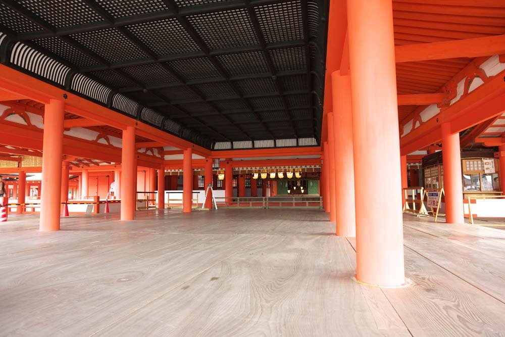 �ʐ^,�f��,����,�t���[,�t�H�g,�N���G�C�e�B�u�E�R�����Y,���i,�ǎ�,�����_�Ђ̖{�a, ���E������Y, �{�a, �_��, ��F