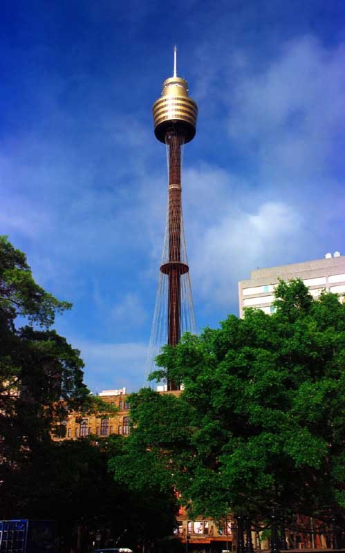 photo,material,free,landscape,picture,stock photo,Creative Commons,Sydney Tower, blue sky, tower, tree, 