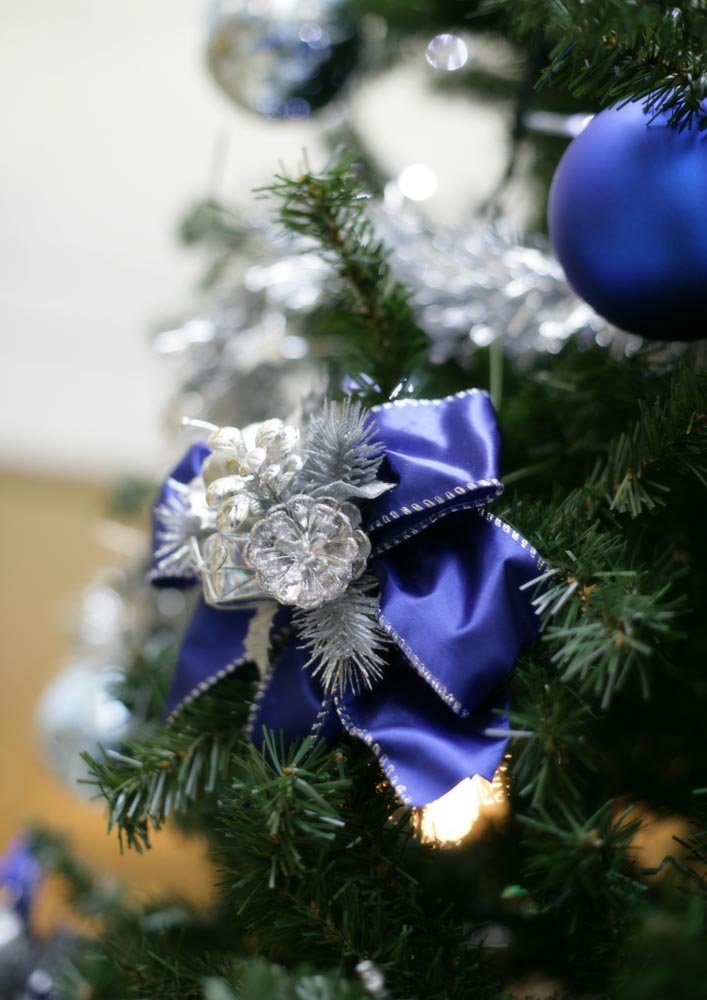 �ʐ^,�f��,����,�t���[,�t�H�g,�N���G�C�e�B�u�E�R�����Y,���i,�ǎ�,�N���X�}�X�I�[�i�����g, X'mas, �N���X�}�X, ���肷�܂�, �N���X�}�X�c���[