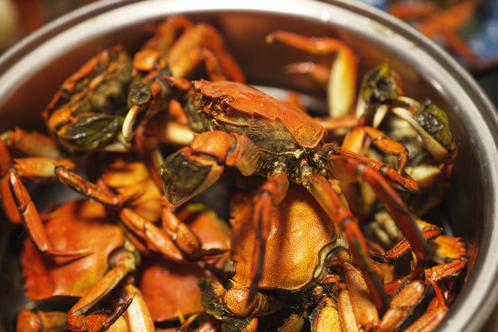 �ʐ^,�f��,����,�t���[,�t�H�g,�N���G�C�e�B�u�E�R�����Y,���i,�ǎ�,��̃J�j, ����, �J�j, �I, ��