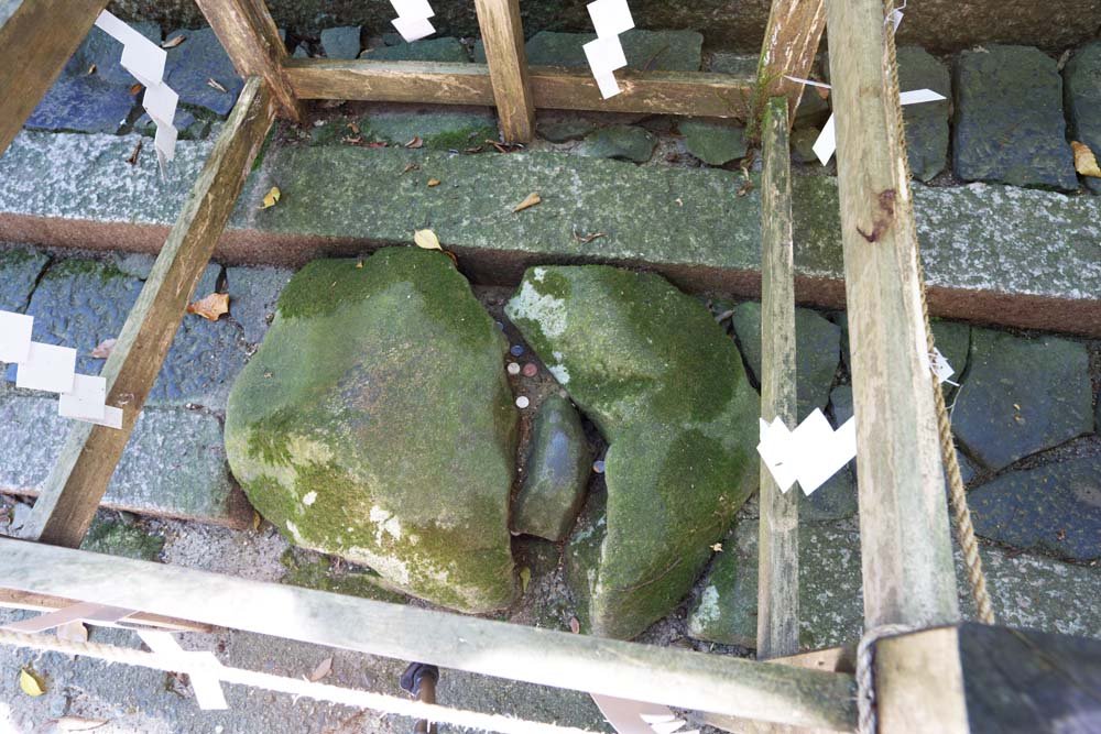 �ʐ^,�f��,����,�t���[,�t�H�g,�N���G�C�e�B�u�E�R�����Y,���i,�ǎ�,�q����, �s�D, �q��, ��, ��