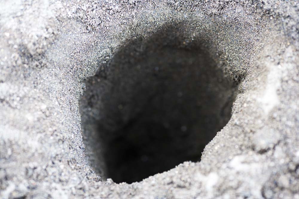 �ʐ^,�f��,����,�t���[,�t�H�g,�N���G�C�e�B�u�E�R�����Y,���i,�ǎ�,����̌�, ����, �q��, �V��, ���@��